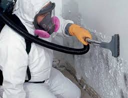 Best Mold Odor Removal Services in Spencer, IN